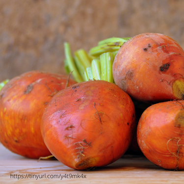 Burpee's Golden Beet, Organic